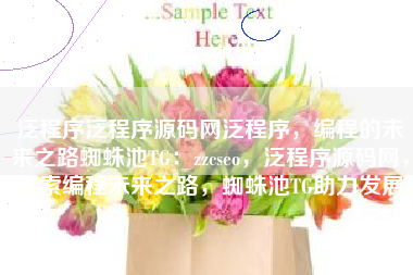 泛程序泛程序源码网泛程序，编程的未来之路蜘蛛池TG：zzcseo，泛程序源码网，探索编程未来之路，蜘蛛池TG助力发展