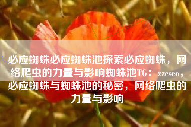 必应蜘蛛必应蜘蛛池探索必应蜘蛛，网络爬虫的力量与影响蜘蛛池TG：zzcseo，必应蜘蛛与蜘蛛池的秘密，网络爬虫的力量与影响