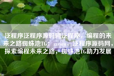 泛程序泛程序源码网泛程序，编程的未来之路蜘蛛池TG：zzcseo，泛程序源码网，探索编程未来之路，蜘蛛池TG助力发展