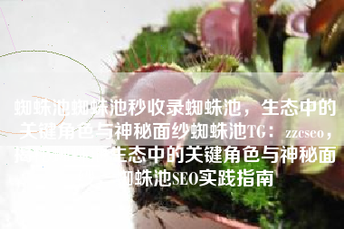 蜘蛛池蜘蛛池秒收录蜘蛛池，生态中的关键角色与神秘面纱蜘蛛池TG：zzcseo，揭秘蜘蛛池生态中的关键角色与神秘面纱，蜘蛛池SEO实践指南