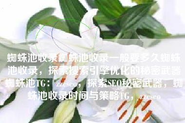 蜘蛛池收录蜘蛛池收录一般要多久蜘蛛池收录，探索搜索引擎优化的秘密武器蜘蛛池TG：zzcseo，探索SEO秘密武器，蜘蛛池收录时间与策略TG，zzcseo
