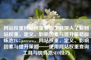 网站权重网站权重查询工具深入了解网站权重，定义、影响因素与提升策略蜘蛛池TG：zzcseo，网站权重，定义、影响因素与提升策略——使用网站权重查询工具与蜘蛛池SEO技巧