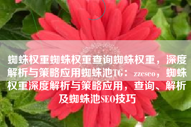 蜘蛛权重蜘蛛权重查询蜘蛛权重，深度解析与策略应用蜘蛛池TG：zzcseo，蜘蛛权重深度解析与策略应用，查询、解析及蜘蛛池SEO技巧