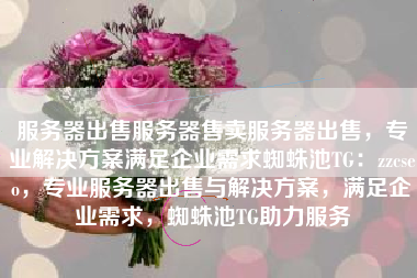 服务器出售服务器售卖服务器出售，专业解决方案满足企业需求蜘蛛池TG：zzcseo，专业服务器出售与解决方案，满足企业需求，蜘蛛池TG助力服务
