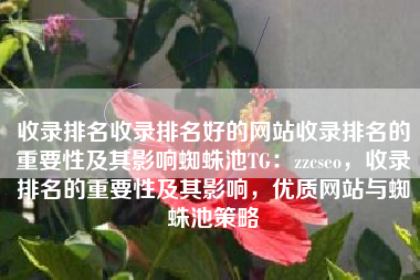 收录排名收录排名好的网站收录排名的重要性及其影响蜘蛛池TG：zzcseo，收录排名的重要性及其影响，优质网站与蜘蛛池策略