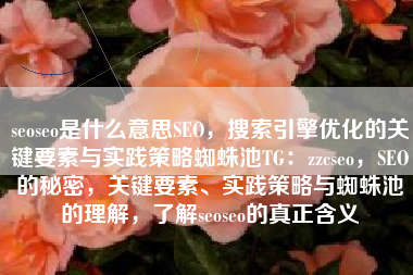 seoseo是什么意思SEO，搜索引擎优化的关键要素与实践策略蜘蛛池TG：zzcseo，SEO的秘密，关键要素、实践策略与蜘蛛池的理解，了解seoseo的真正含义