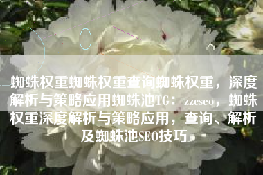 蜘蛛权重蜘蛛权重查询蜘蛛权重，深度解析与策略应用蜘蛛池TG：zzcseo，蜘蛛权重深度解析与策略应用，查询、解析及蜘蛛池SEO技巧