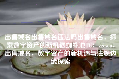 出售域名出售域名违法吗出售域名，探索数字资产的新机遇蜘蛛池TG：zzcseo，出售域名，数字资产的新机遇与法规边缘探索