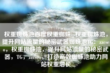 权重蜘蛛池百度权重蜘蛛ip权重蜘蛛池，提升网站流量的秘密武器蜘蛛池TG：zzcseo，权重蜘蛛池，提升网站流量的秘密武器，TG，zzcseo，打造高效蜘蛛池助力网站权重增长