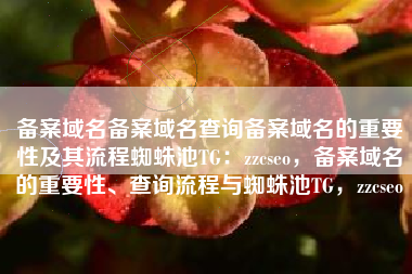 备案域名备案域名查询备案域名的重要性及其流程蜘蛛池TG：zzcseo，备案域名的重要性、查询流程与蜘蛛池TG，zzcseo