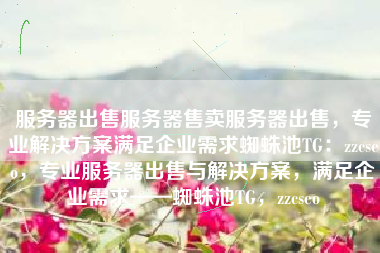 服务器出售服务器售卖服务器出售，专业解决方案满足企业需求蜘蛛池TG：zzcseo，专业服务器出售与解决方案，满足企业需求——蜘蛛池TG，zzcseo