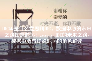 IDCidc是什么意思啊IDC，数据中心的未来之路蜘蛛池TG：zzcseo，IDC的未来之路，数据中心与蜘蛛池TG的角色解读