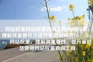 网站权重网站权重查询工具网站权重，理解其重要性及提升策略蜘蛛池TG：zzcseo，网站权重，理解其重要性、提升策略及使用网站权重查询工具