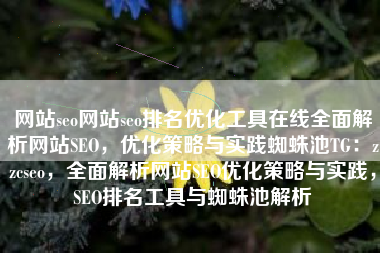 网站seo网站seo排名优化工具在线全面解析网站SEO，优化策略与实践蜘蛛池TG：zzcseo，全面解析网站SEO优化策略与实践，SEO排名工具与蜘蛛池解析