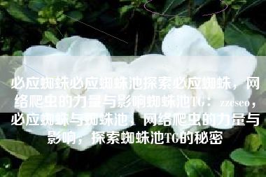 必应蜘蛛必应蜘蛛池探索必应蜘蛛，网络爬虫的力量与影响蜘蛛池TG：zzcseo，必应蜘蛛与蜘蛛池，网络爬虫的力量与影响，探索蜘蛛池TG的秘密