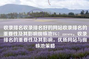 收录排名收录排名好的网站收录排名的重要性及其影响蜘蛛池TG：zzcseo，收录排名的重要性及其影响，优质网站与蜘蛛池策略
