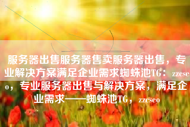 服务器出售服务器售卖服务器出售，专业解决方案满足企业需求蜘蛛池TG：zzcseo，专业服务器出售与解决方案，满足企业需求——蜘蛛池TG，zzcseo