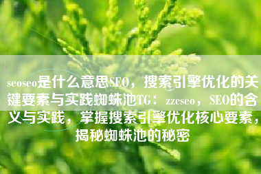 seoseo是什么意思SEO，搜索引擎优化的关键要素与实践蜘蛛池TG：zzcseo，SEO的含义与实践，掌握搜索引擎优化核心要素，揭秘蜘蛛池的秘密