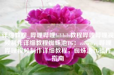 详细教程_哔哩哔哩bilibili教程哔哩哔哩视频制作详细教程蜘蛛池TG：zzcseo，哔哩哔哩视频制作详细教程，蜘蛛池TG操作指南