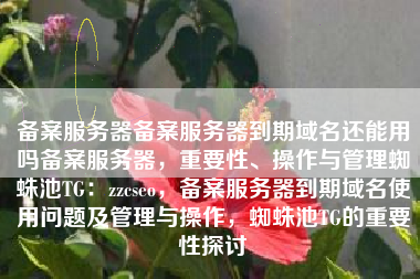 备案服务器备案服务器到期域名还能用吗备案服务器，重要性、操作与管理蜘蛛池TG：zzcseo，备案服务器到期域名使用问题及管理与操作，蜘蛛池TG的重要性探讨