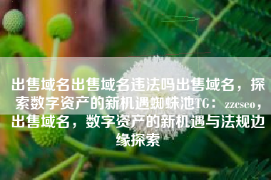 出售域名出售域名违法吗出售域名，探索数字资产的新机遇蜘蛛池TG：zzcseo，出售域名，数字资产的新机遇与法规边缘探索