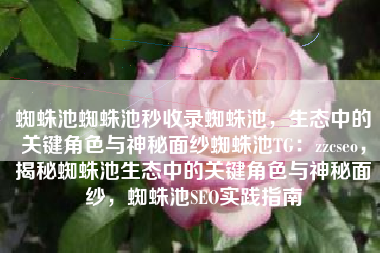 蜘蛛池蜘蛛池秒收录蜘蛛池，生态中的关键角色与神秘面纱蜘蛛池TG：zzcseo，揭秘蜘蛛池生态中的关键角色与神秘面纱，蜘蛛池SEO实践指南