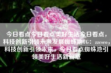 今日看点今日看点美好生活今日看点，科技创新引领未来发展蜘蛛池TG：zzcseo，科技创新引领未来，今日看点蜘蛛池引领美好生活新篇章