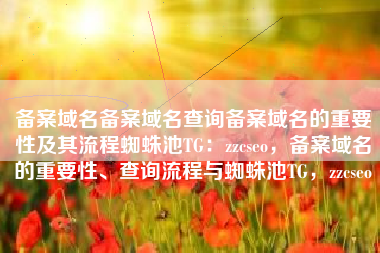 备案域名备案域名查询备案域名的重要性及其流程蜘蛛池TG：zzcseo，备案域名的重要性、查询流程与蜘蛛池TG，zzcseo