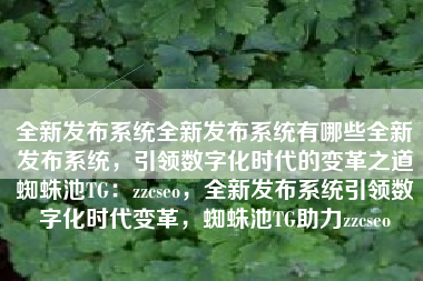 全新发布系统全新发布系统有哪些全新发布系统，引领数字化时代的变革之道蜘蛛池TG：zzcseo，全新发布系统引领数字化时代变革，蜘蛛池TG助力zzcseo