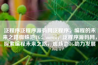 泛程序泛程序源码网泛程序，编程的未来之路蜘蛛池TG：zzcseo，泛程序源码网，探索编程未来之路，蜘蛛池TG助力发展