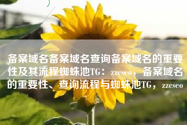 备案域名备案域名查询备案域名的重要性及其流程蜘蛛池TG：zzcseo，备案域名的重要性、查询流程与蜘蛛池TG，zzcseo