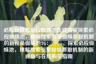 必应蜘蛛池必应蜘蛛池在线购买探索必应蜘蛛池，理解搜索引擎蜘蛛抓取机制的新视角蜘蛛池TG：zzcseo，探索必应蜘蛛池，理解搜索引擎蜘蛛抓取机制的新视角与在线购买指南