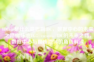 IDCidc是什么意思啊IDC，数据中心的未来之路蜘蛛池TG：zzcseo，IDC的未来之路，数据中心与蜘蛛池TG的角色解读