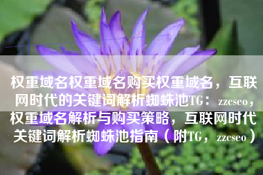 权重域名权重域名购买权重域名，互联网时代的关键词解析蜘蛛池TG：zzcseo，权重域名解析与购买策略，互联网时代关键词解析蜘蛛池指南（附TG，zzcseo）