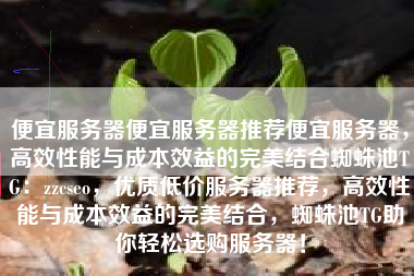 便宜服务器便宜服务器推荐便宜服务器，高效性能与成本效益的完美结合蜘蛛池TG：zzcseo，优质低价服务器推荐，高效性能与成本效益的完美结合，蜘蛛池TG助你轻松选购服务器！