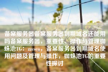 备案服务器备案服务器到期域名还能用吗备案服务器，重要性、操作与管理蜘蛛池TG：zzcseo，备案服务器到期域名使用问题及管理与操作，蜘蛛池TG的重要性探讨