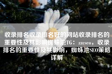 收录排名收录排名好的网站收录排名的重要性及其影响蜘蛛池TG：zzcseo，收录排名的重要性及其影响，蜘蛛池SEO策略详解