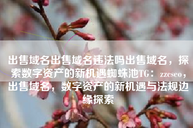 出售域名出售域名违法吗出售域名，探索数字资产的新机遇蜘蛛池TG：zzcseo，出售域名，数字资产的新机遇与法规边缘探索