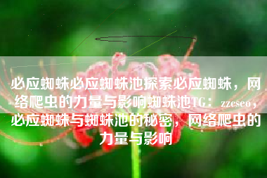 必应蜘蛛必应蜘蛛池探索必应蜘蛛，网络爬虫的力量与影响蜘蛛池TG：zzcseo，必应蜘蛛与蜘蛛池的秘密，网络爬虫的力量与影响