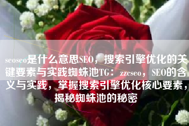 seoseo是什么意思SEO，搜索引擎优化的关键要素与实践蜘蛛池TG：zzcseo，SEO的含义与实践，掌握搜索引擎优化核心要素，揭秘蜘蛛池的秘密