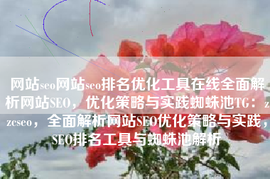 网站seo网站seo排名优化工具在线全面解析网站SEO，优化策略与实践蜘蛛池TG：zzcseo，全面解析网站SEO优化策略与实践，SEO排名工具与蜘蛛池解析