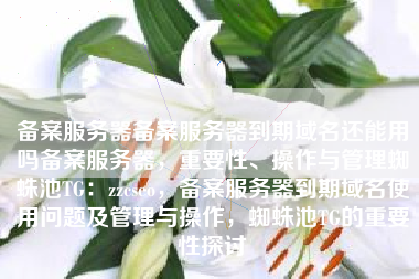 备案服务器备案服务器到期域名还能用吗备案服务器，重要性、操作与管理蜘蛛池TG：zzcseo，备案服务器到期域名使用问题及管理与操作，蜘蛛池TG的重要性探讨