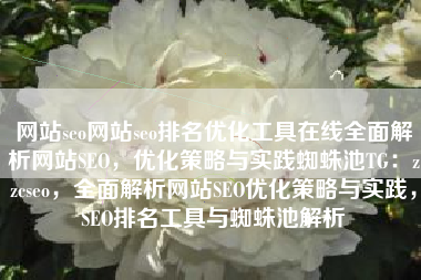 网站seo网站seo排名优化工具在线全面解析网站SEO，优化策略与实践蜘蛛池TG：zzcseo，全面解析网站SEO优化策略与实践，SEO排名工具与蜘蛛池解析