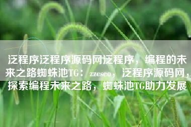 泛程序泛程序源码网泛程序，编程的未来之路蜘蛛池TG：zzcseo，泛程序源码网，探索编程未来之路，蜘蛛池TG助力发展