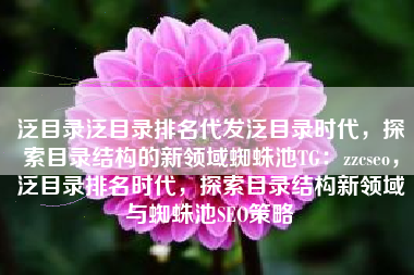 泛目录泛目录排名代发泛目录时代，探索目录结构的新领域蜘蛛池TG：zzcseo，泛目录排名时代，探索目录结构新领域与蜘蛛池SEO策略