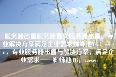 服务器出售服务器售卖服务器出售，专业解决方案满足企业需求蜘蛛池TG：zzcseo，专业服务器出售与解决方案，满足企业需求——蜘蛛池TG，zzcseo