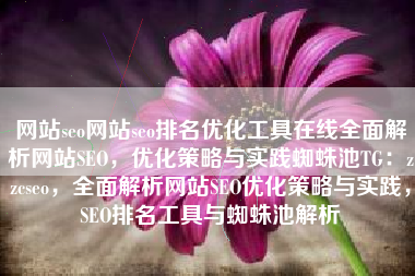 网站seo网站seo排名优化工具在线全面解析网站SEO，优化策略与实践蜘蛛池TG：zzcseo，全面解析网站SEO优化策略与实践，SEO排名工具与蜘蛛池解析