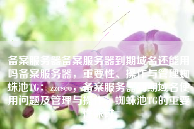 备案服务器备案服务器到期域名还能用吗备案服务器，重要性、操作与管理蜘蛛池TG：zzcseo，备案服务器到期域名使用问题及管理与操作，蜘蛛池TG的重要性探讨