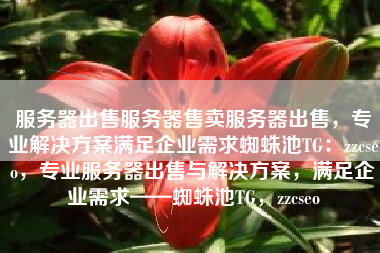 服务器出售服务器售卖服务器出售，专业解决方案满足企业需求蜘蛛池TG：zzcseo，专业服务器出售与解决方案，满足企业需求——蜘蛛池TG，zzcseo