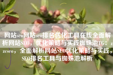 网站seo网站seo排名优化工具在线全面解析网站SEO，优化策略与实践蜘蛛池TG：zzcseo，全面解析网站SEO优化策略与实践，SEO排名工具与蜘蛛池解析